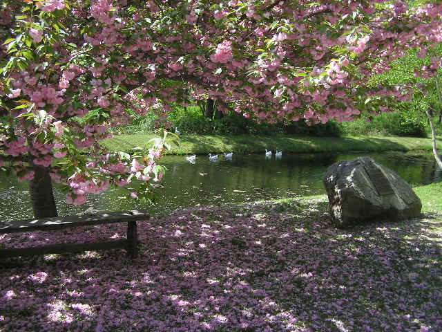 06photos40.jpg - 81469 Bytes